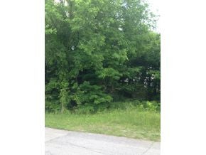 Photo #1: 0 Fleenor Drive