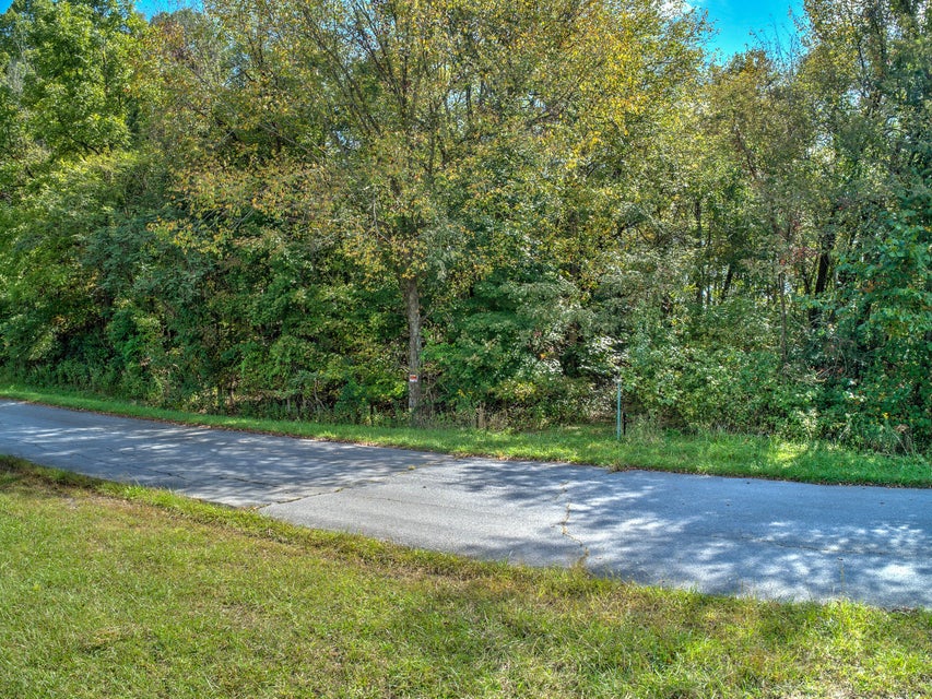 Photo #3: 0 Fleenor Drive