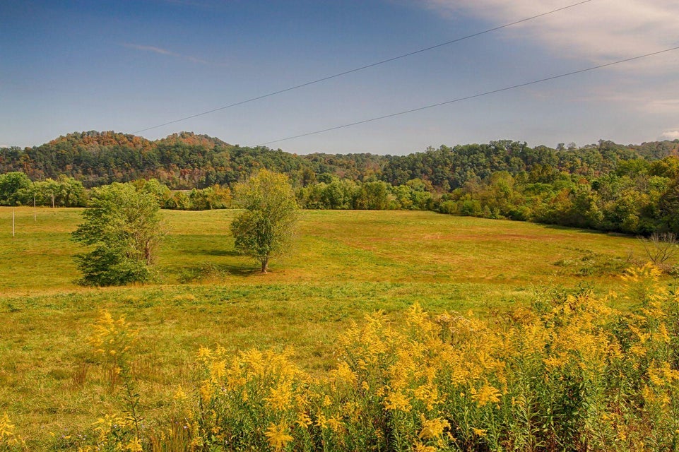 Photo #47: 112 Harber Lane