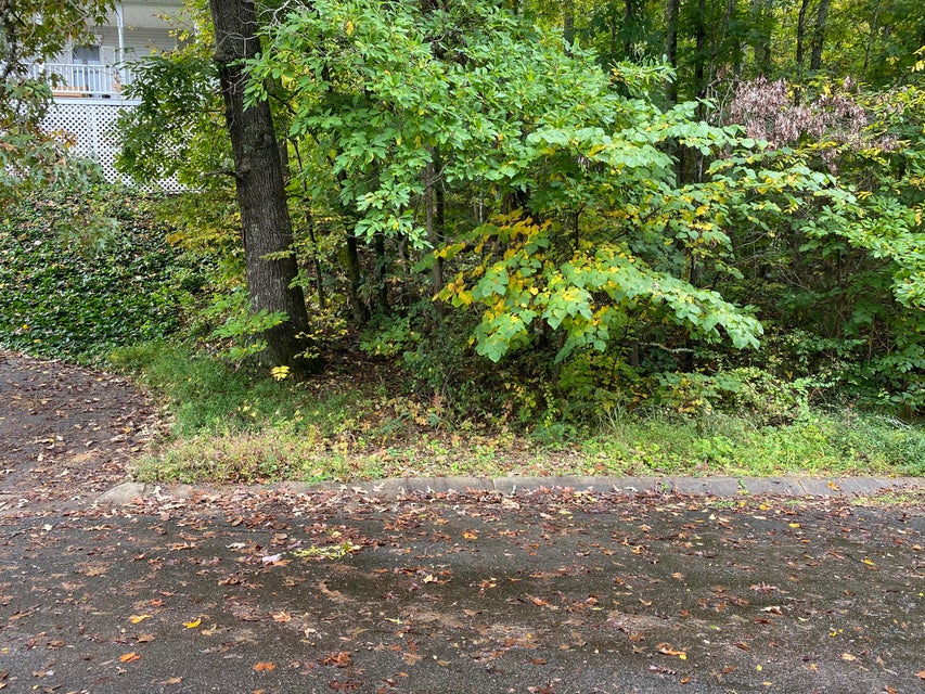 Photo #2: Tbd Cindy Drive