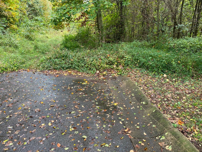 Photo #3: Tbd Cindy Drive