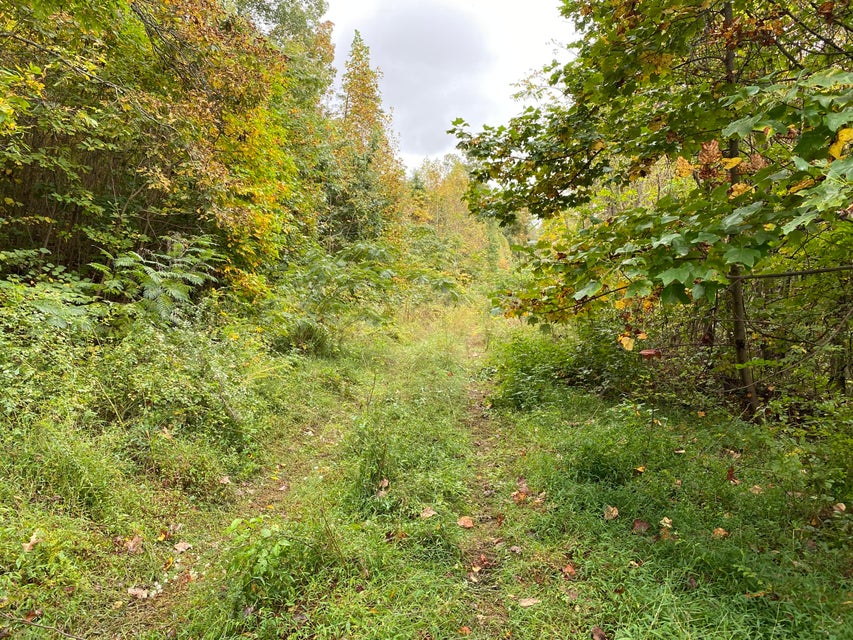 Photo #4: Tbd Cindy Drive