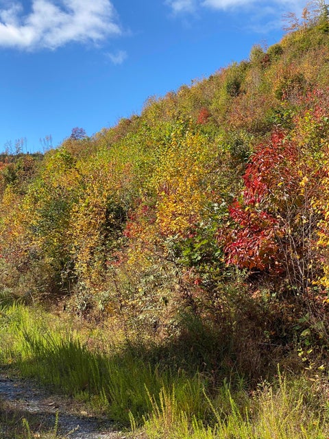 Photo #8: 3827 Stone Mountain Rd