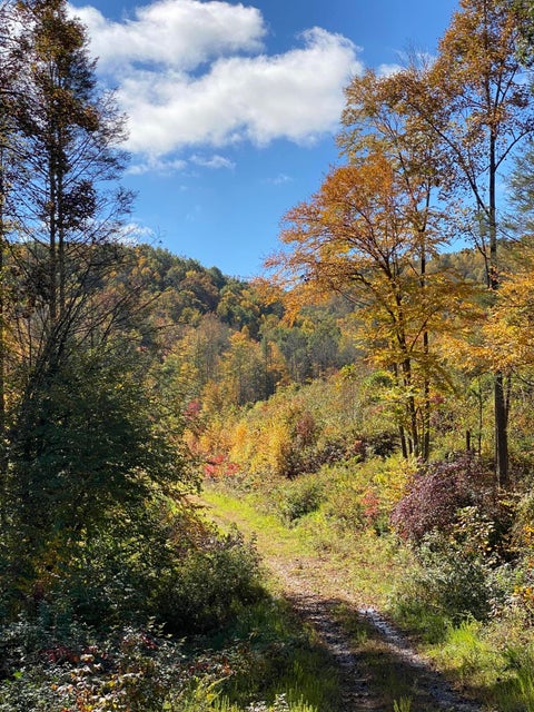 Photo #10: 3827 Stone Mountain Rd