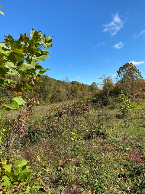 Photo #37: 3827 Stone Mountain Rd