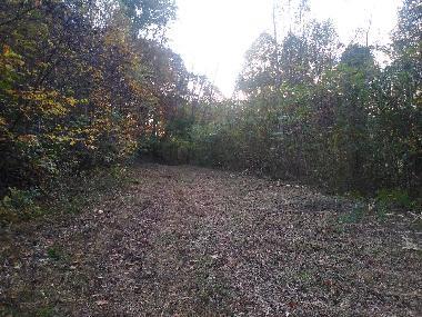 Photo #9: Tbd Cindy Drive