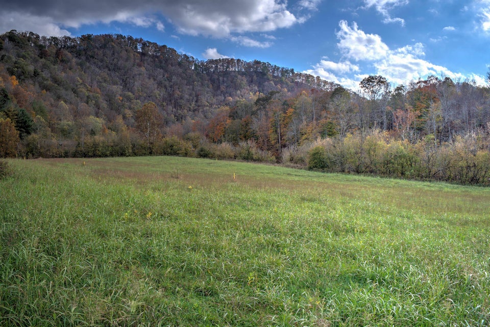 Photo #12: Tbd Wadlow Gap Road
