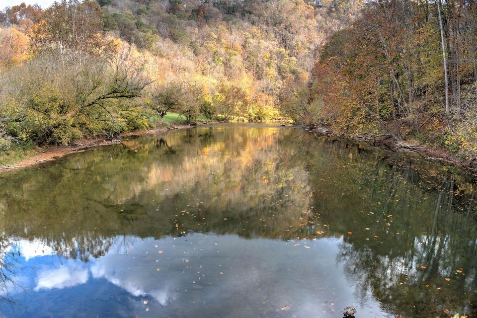 Photo #23: Tbd Wadlow Gap Road
