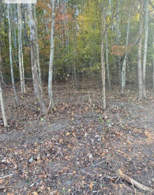 Photo #3: 1133 TN-107