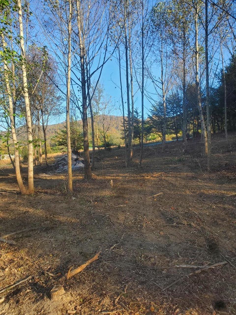 Photo #1: 1133 TN-107