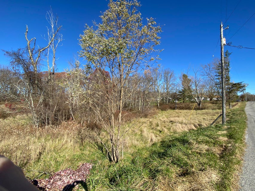 Photo #2: Tbd Mountain View Rd.