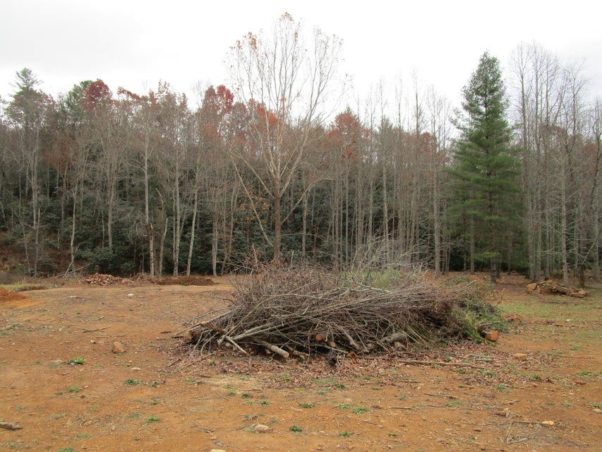 Photo #3: 00 Sciota Road