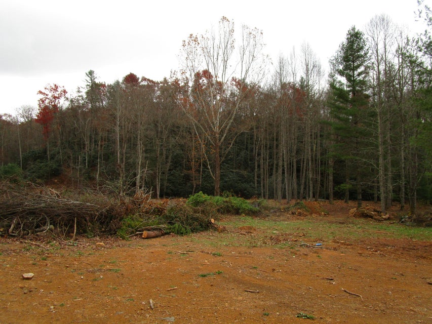 Photo #1: 00 Sciota Road