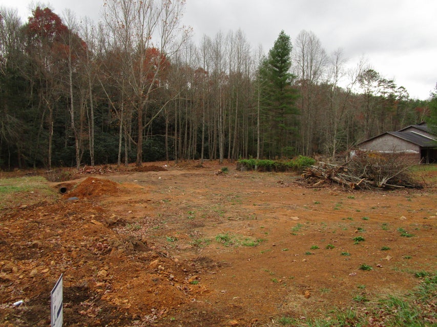 Photo #4: 00 Sciota Road
