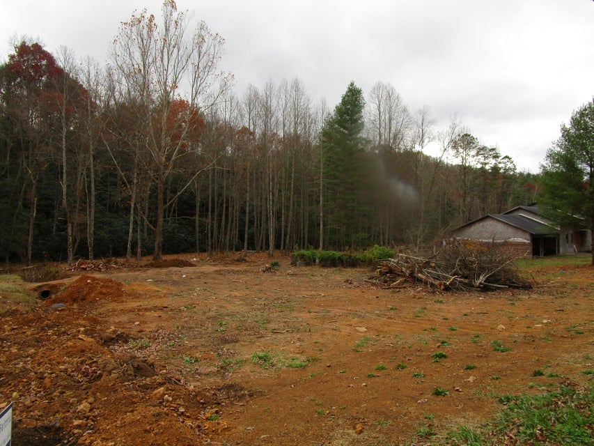 Photo #5: 00 Sciota Road