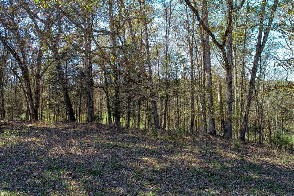 Photo #23: 5734 Highway 66