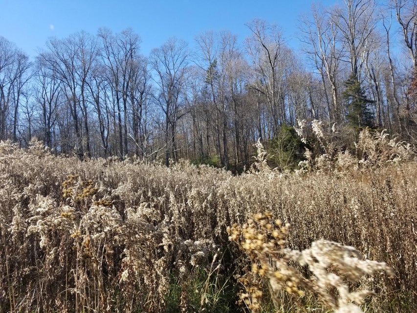 Photo #8: 191 Ramey Road