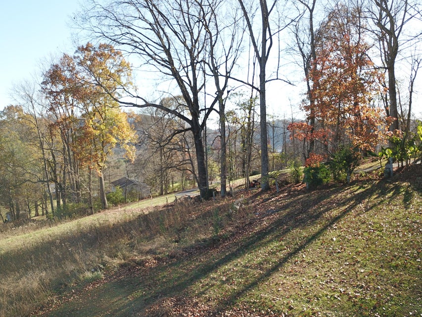 Photo #15: 191 Ramey Road