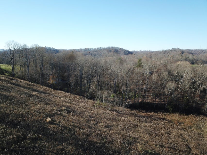 Photo #24: 191 Ramey Road