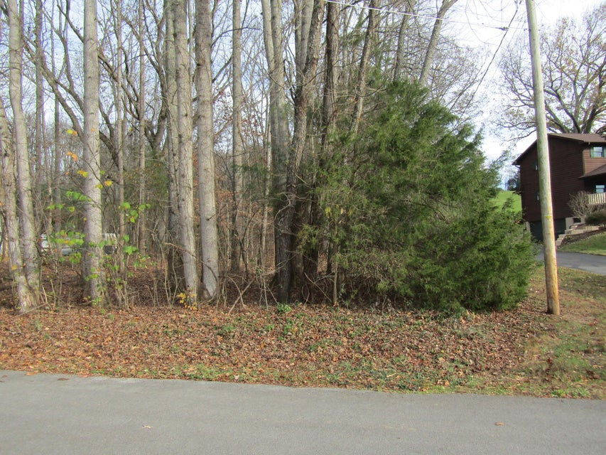 Photo #1: 0 Baywood Drive