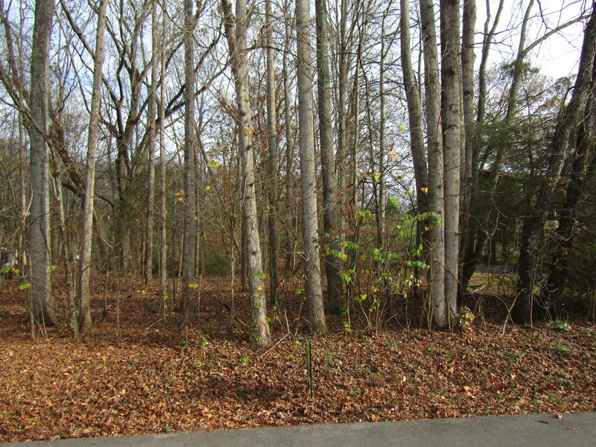 Photo #4: 0 Baywood Drive