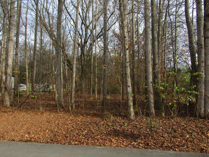 Photo #5: 0 Baywood Drive