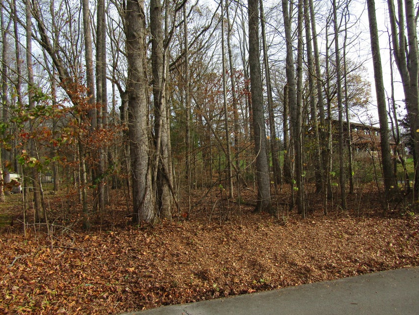 Photo #2: 0 Baywood Drive