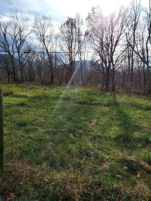 Photo #3: P/O 2771 Shelton Mission Road