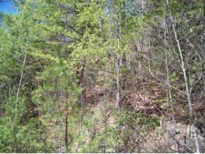 Photo #1: 000 Browns Ridge Lane, Lot #3
