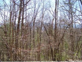 Photo #2: 000 Browns Ridge Lane, Lot #3