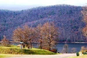 Photo #5: Lot 19 Forest Point