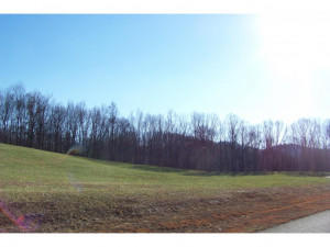 Photo #6: Lot 19 Forest Point