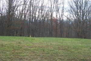 Photo #7: Lot 19 Forest Point