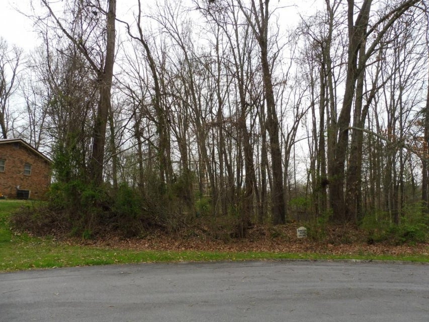 Photo #1: 0 Briarwood Drive