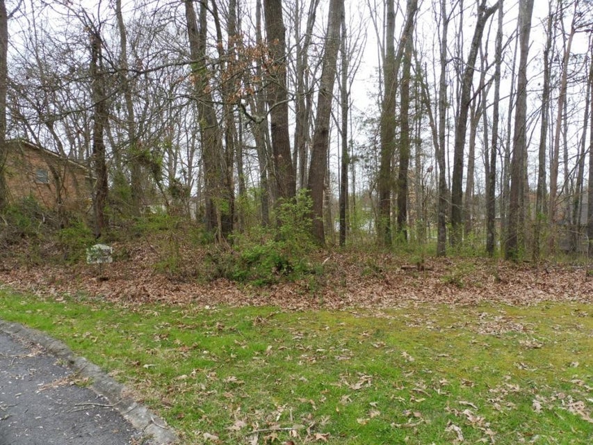 Photo #4: 0 Briarwood Drive