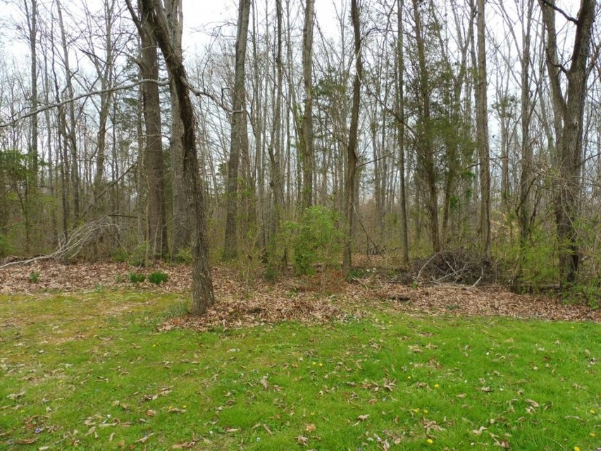 Photo #5: 0 Briarwood Drive