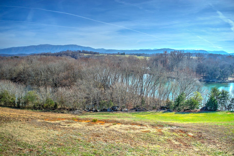 Photo #10: 0 River View Drive