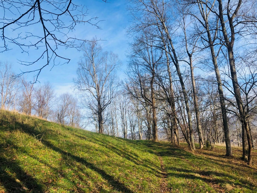 Photo #21: Tbd Jonesborough Rd
