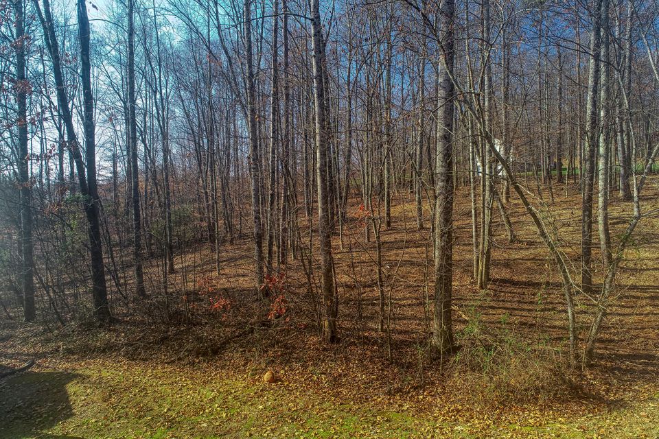 Photo #2: Lot 39 Madeline Ln