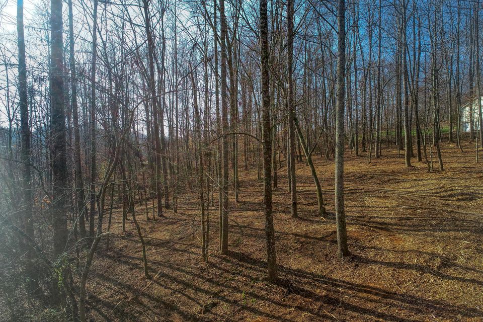 Photo #3: Lot 39 Madeline Ln