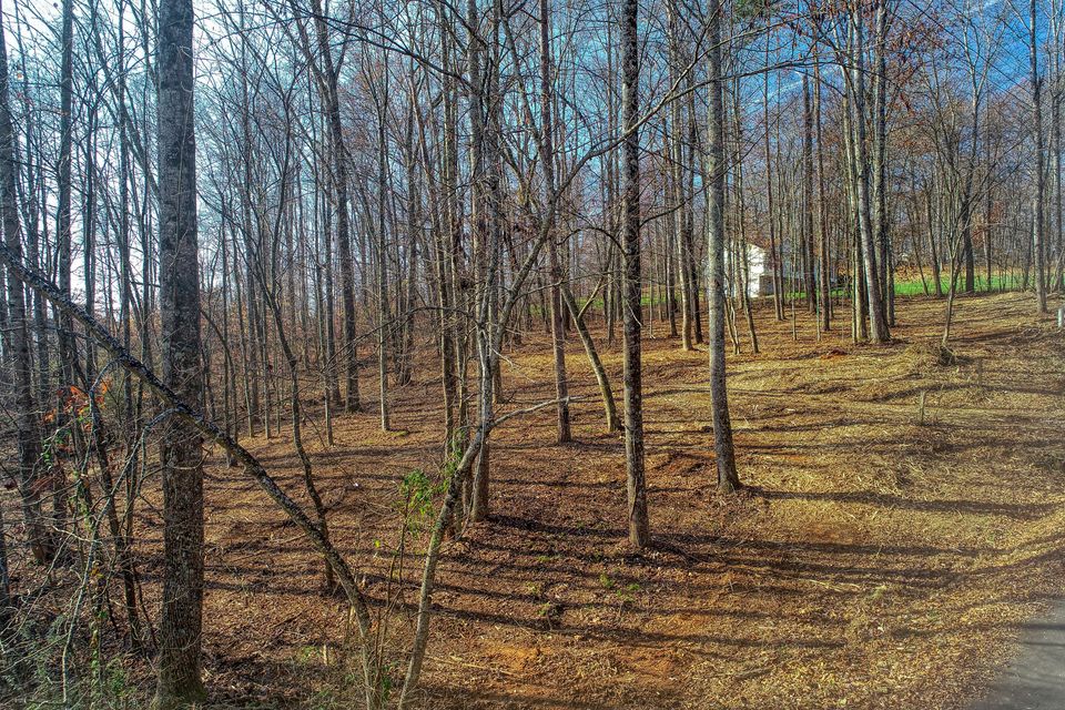 Photo #6: Lot 39 Madeline Ln