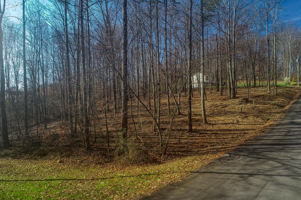 Photo #1: Lot 40 Madeline Ln