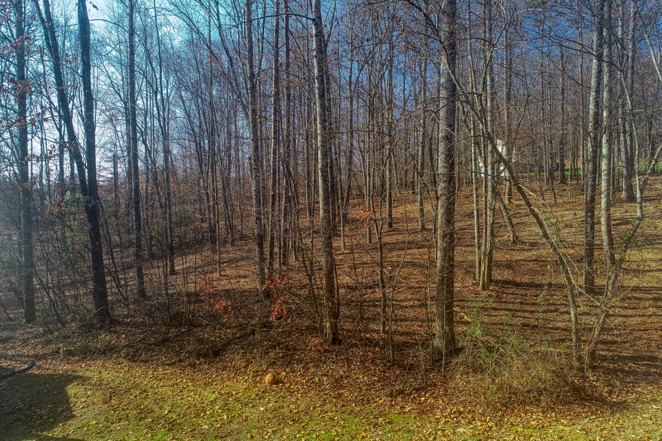 Photo #5: Lot 40 Madeline Ln
