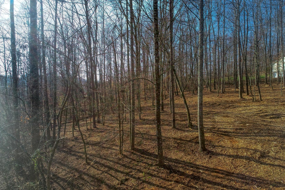 Photo #6: Lot 40 Madeline Ln