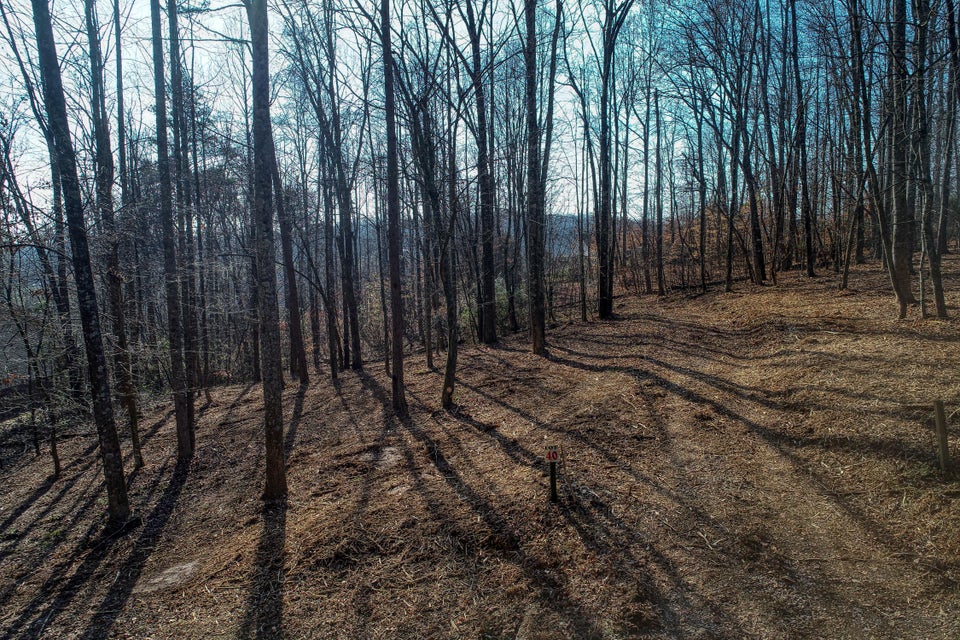 Photo #2: Lot 40 Madeline Ln