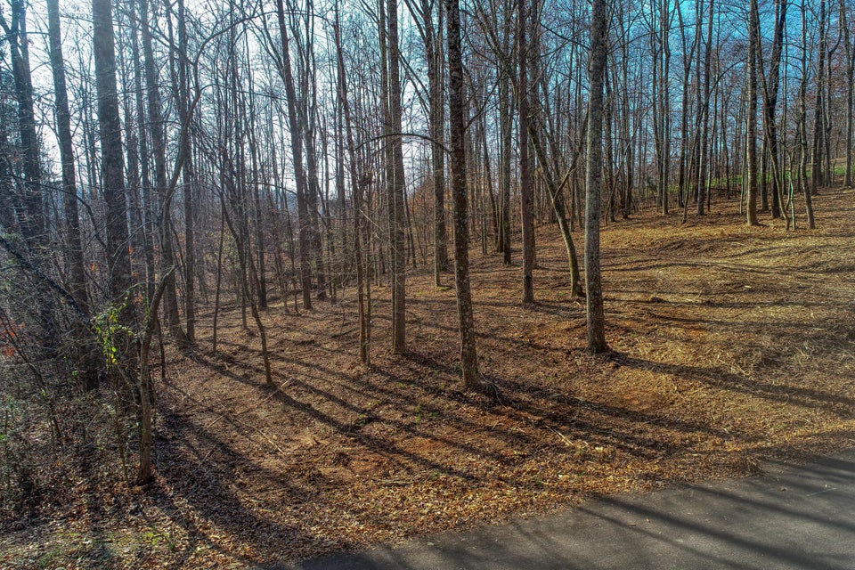 Photo #3: Lot 40 Madeline Ln