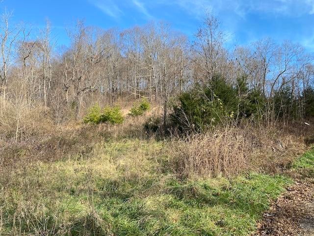 Photo #2: 0 Pigeon Hollow Road