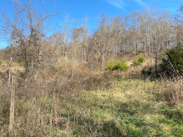 Photo #3: 0 Pigeon Hollow Road