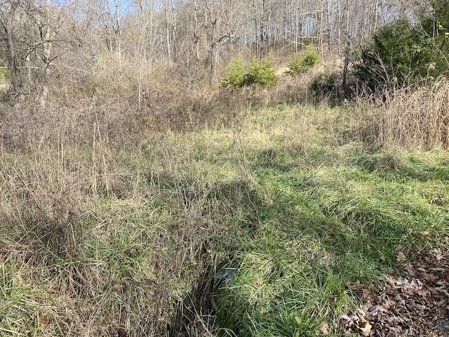Photo #4: 0 Pigeon Hollow Road