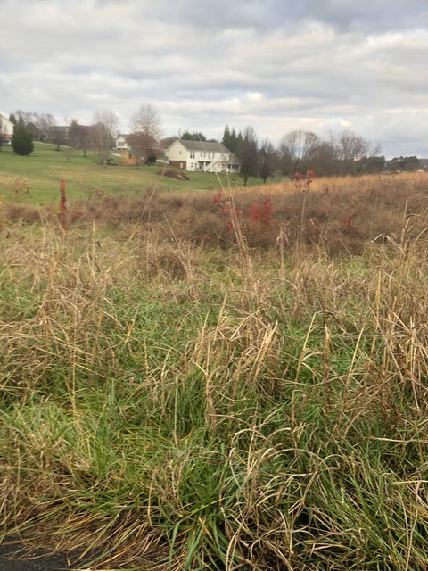 Photo #2: Tbd Collins Lane